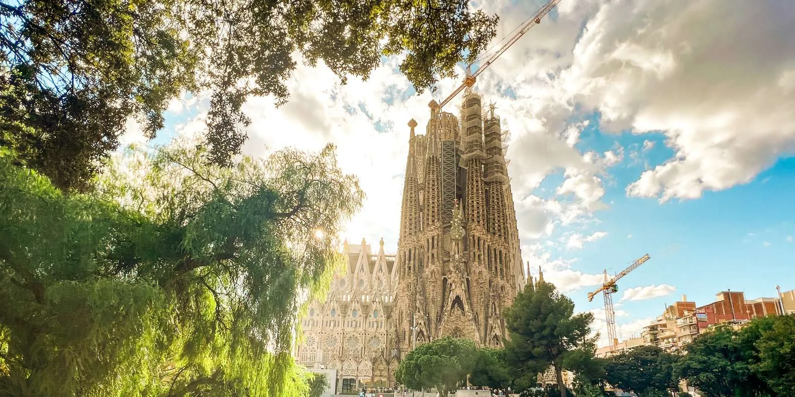 Gaudí's Sagrada Família basilica framed by green trees on a sunny full-day Barcelona sightseeing tour